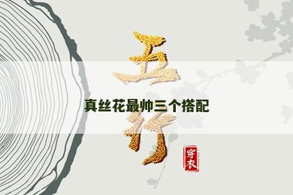 真丝花最帅三个搭配 真丝花最帅三个搭配