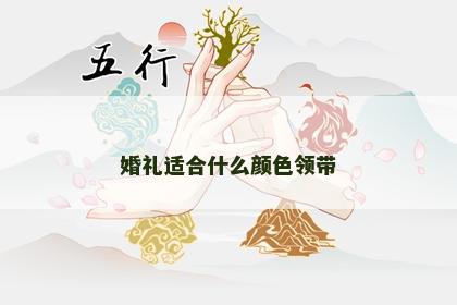 婚礼适合什么颜色领带