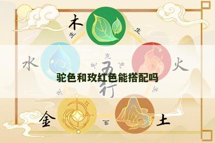 驼色和玫红色能搭配吗