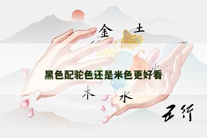 黑色配驼色还是米色更好看 黑色配驼色还是米色更好看