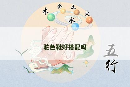 驼色鞋好搭配吗 驼色鞋好搭配吗