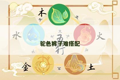 驼色裤子难搭配 驼色裤子难搭配