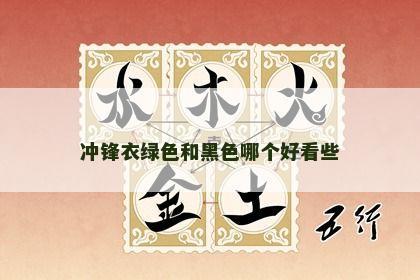 冲锋衣绿色和黑色哪个好看些 冲锋衣绿色和黑色哪个好看些