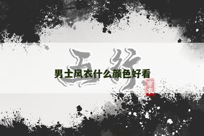 男士风衣什么颜色好看
