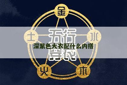 深紫色大衣配什么内搭