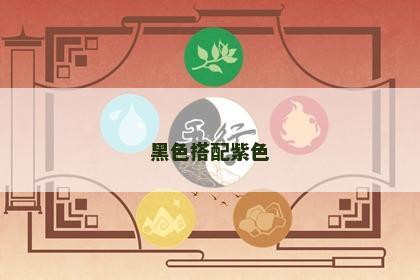 黑色搭配紫色
