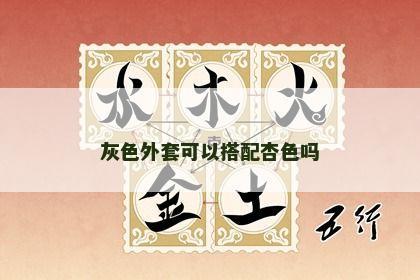 灰色外套可以搭配杏色吗 灰色外套可以搭配杏色吗